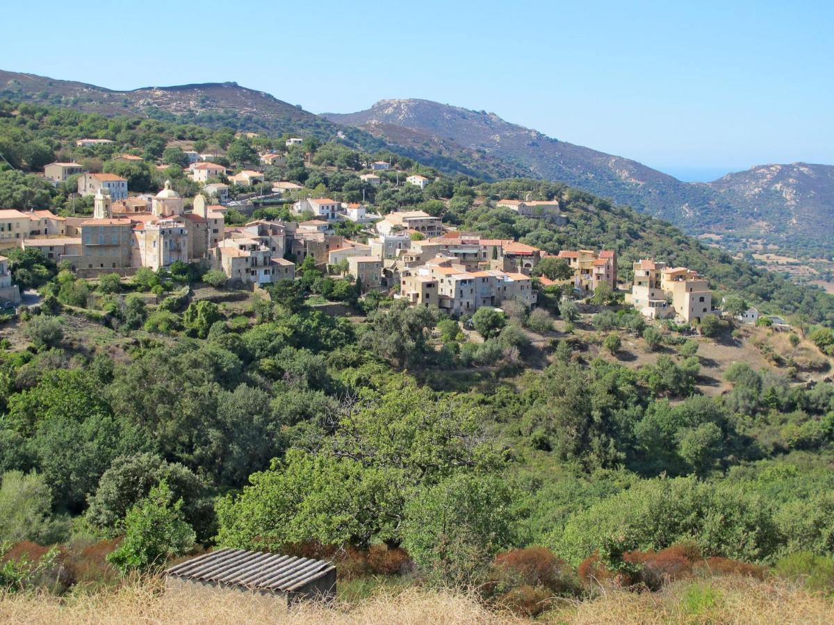 Apartment Thalassa - Cal200 By Interhome Corsica Island Kültér fotó